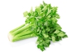 ผักคื่นฉ่าย Celery