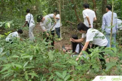 for-green-Ep86ai-21