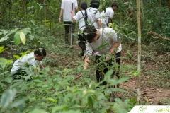 for-green-Ep86ai-22