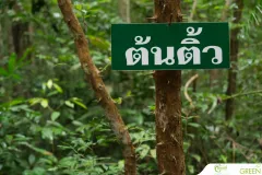 for-green-Ep86ai-28