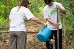 for-green-Ep86ai-34