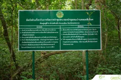 for-green-Ep86ai-38