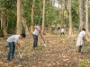 บำรุงรักษาต้นไม้ 05 @ เขตห้ามล่าสัตว์ป่าอ่างเก็บน้ำบางพระ จ.ชลบุรี