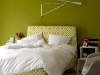 green-patten-01