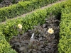 Focus Flower Beds