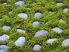 Blue Stone