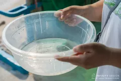DSC09147