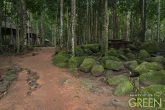 Infinity-Design-For-Green-EP80-22