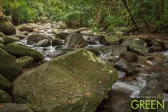 Infinity-Design-For-Green-EP80-23