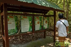 Infinity-Design-For-Green-EP80-34