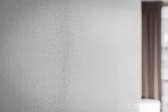 DSC04551